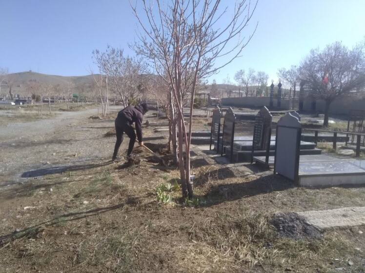 ادامه طرح پاکیزگی و زیباسازی شهر ویست در سال ۱۴۰۵